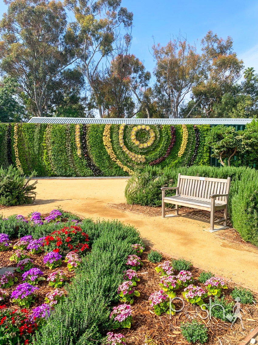 south coast botanic garden 4