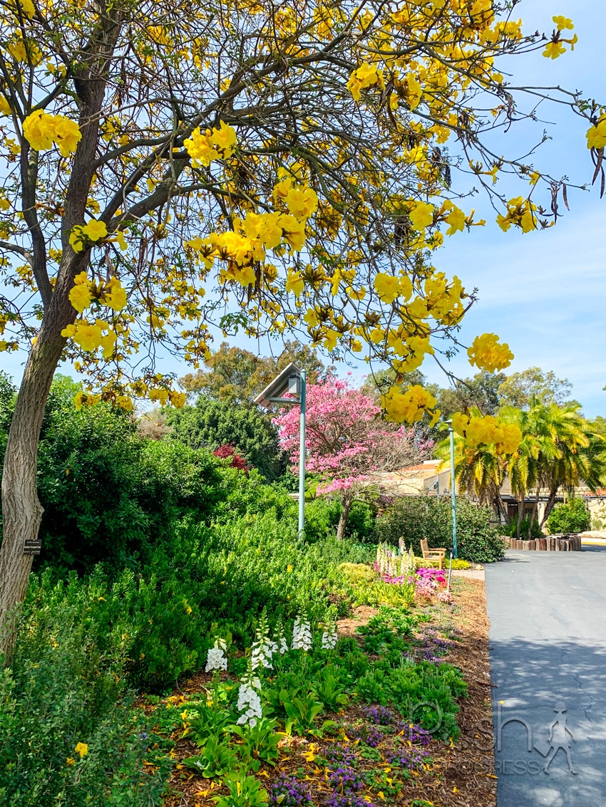 south coast botanic garden 3