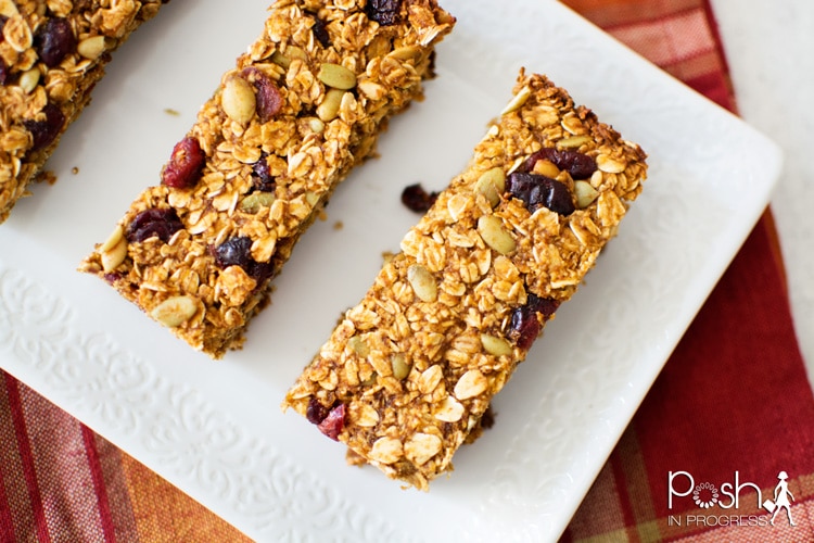 Pumpkin Spice Granola Bars (Gluten Free, Low Fat)
