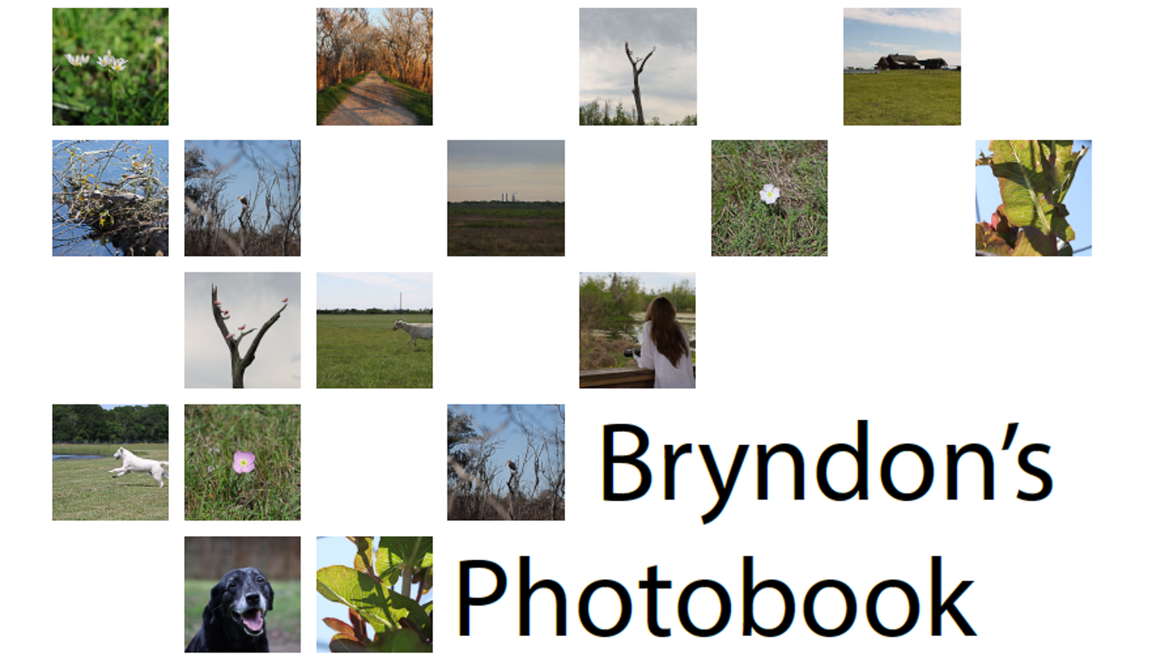 Screenshot of Bryndon's photobook.