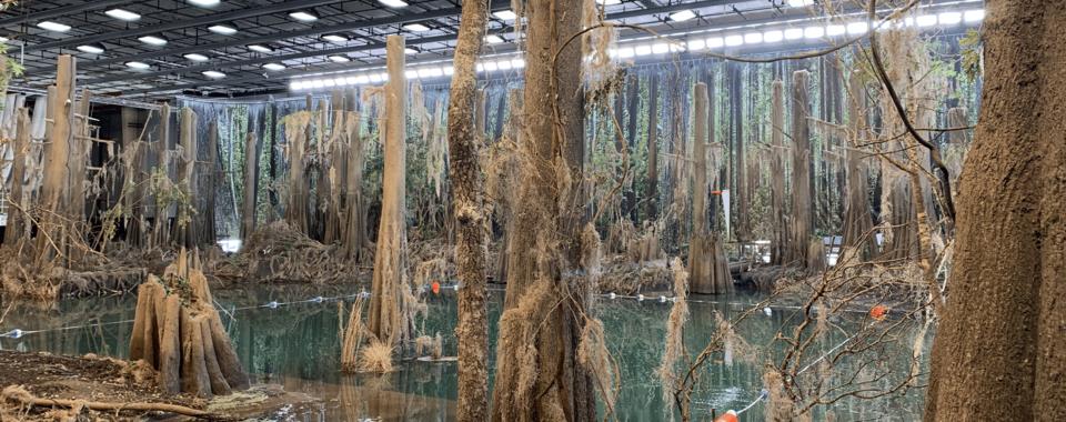 Lighting the Way: Crew & Rental House Collaboration at Cinespace