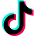 tiktok icon
