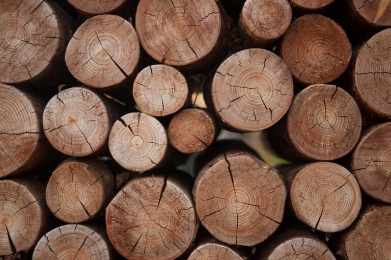 Multiple cut tree logs in the background
