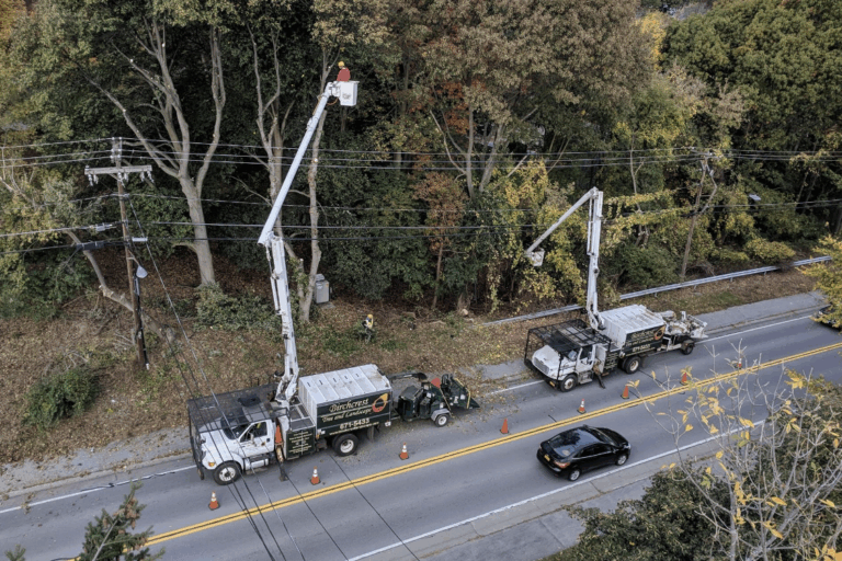 Tree services in commercial and residential in Rochester, NY