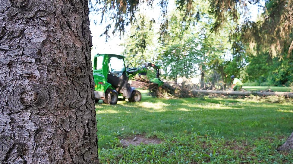 Heavy equipment removing a tree.