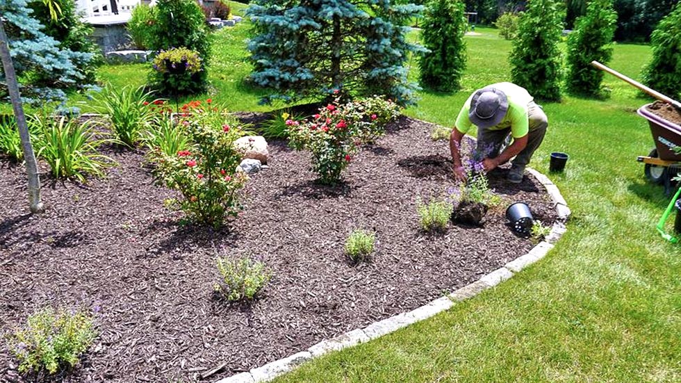 Design and installation of a residential bed of flowes