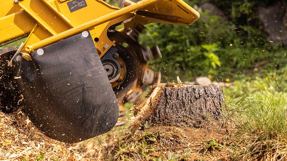 Stump grinding in Rochester, NY