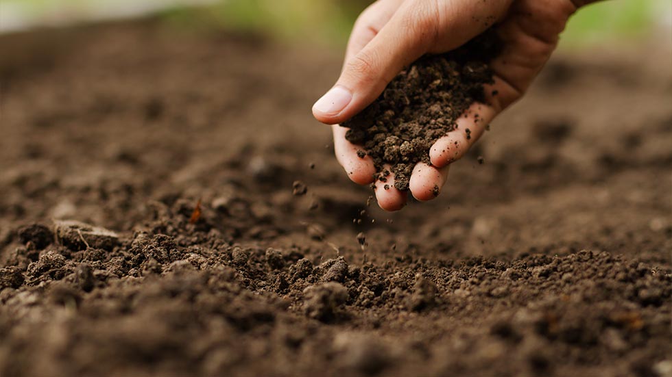 Team member touching and managing soil on the ground.