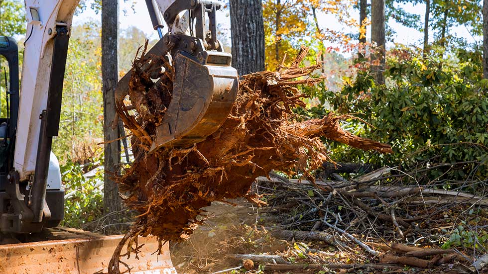 Tree Root Aeration & Excavation in Rochester, NY