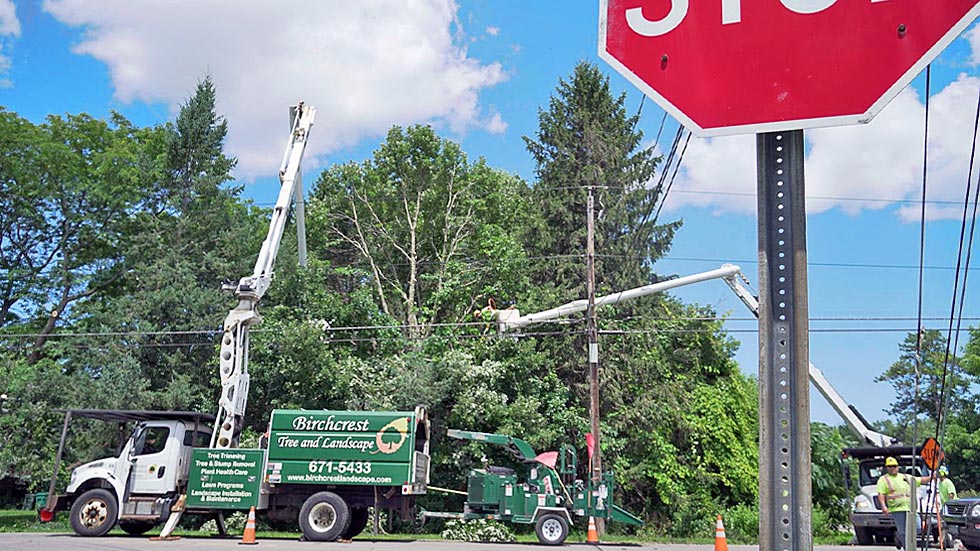 Birchcrest team safely removing and clearing trees from infrastructure