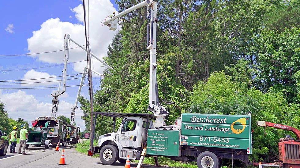 Birchcrest's utility vegetation team clearing trees 
