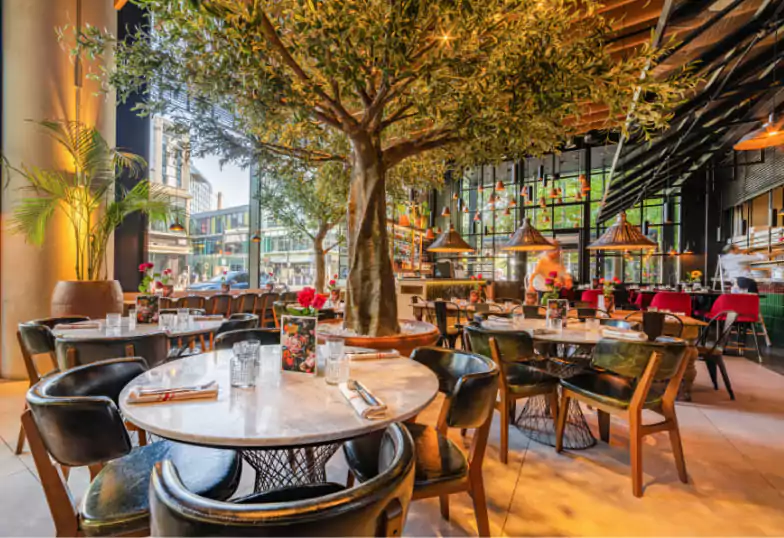 A Mediterranean-inspired restaurant with high ceilings, lush indoor trees, and warm lighting, creating an inviting and scenic atmosphere. Perfect for a relaxed dining experience. Discover more unique restaurants on Ambl.