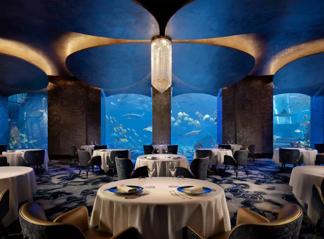 Some of the best restaurants to celebrate your birthday in Dubai are StreetXO, Dream Dubai Official, and Nuska. Discover the rest here. 