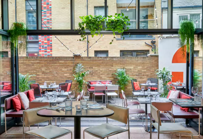 A vibrant Tel Aviv-inspired restaurant with greenery-filled interiors and a bright, welcoming atmosphere. Experience Middle Eastern flavors in London with Ambl.