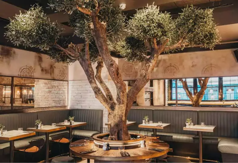 A stylish Italian restaurant featuring a beautiful olive tree centerpiece, creating a warm and inviting ambiance, easily found via Ambl.
