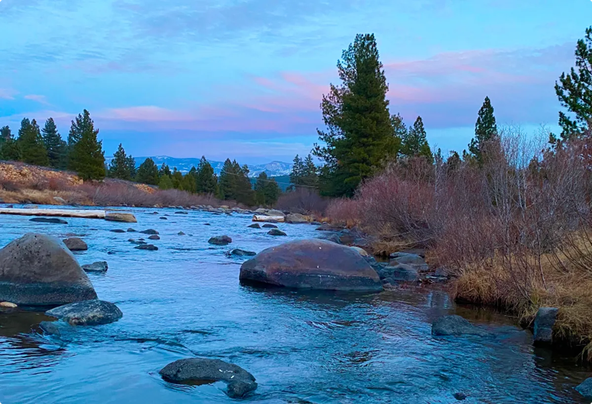 Calm river flowing through rocky banks surrounded by pine trees under a blue and pink evening sky.