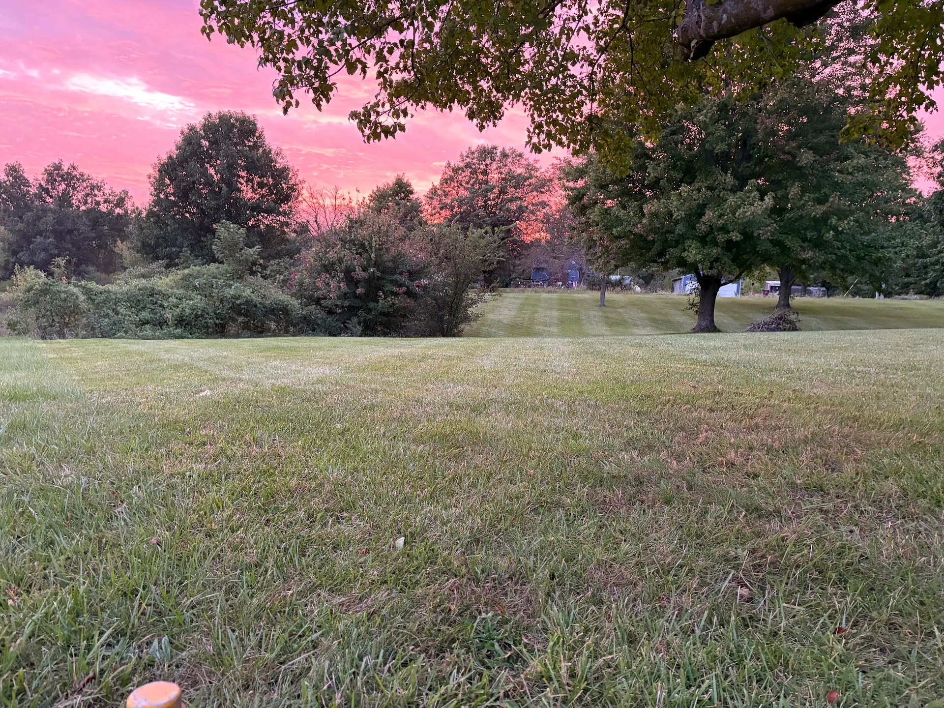 Residential home with mowed front lawn and blossoming tree in spring, serviced by Marrs Lawn and Landscape in Grain Valley, MO.
