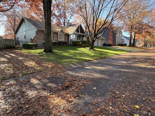 Residential yard covered in fall leaves in Grain Valley, MO, before professional leaf removal by Marrs Lawn and Landscape