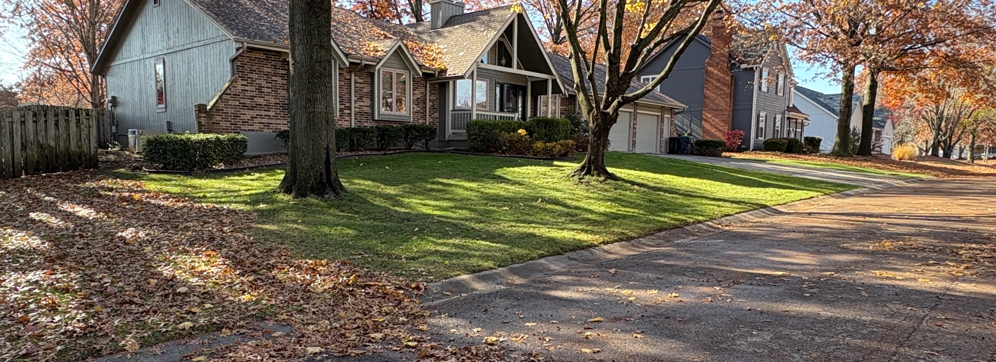 Tree-lined residential street with well-maintained lawns in Grain Valley, Missouri.