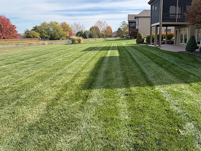 Professionally mowed lawn with sharp stripes in front of a home in Grain Valley, Missouri.
