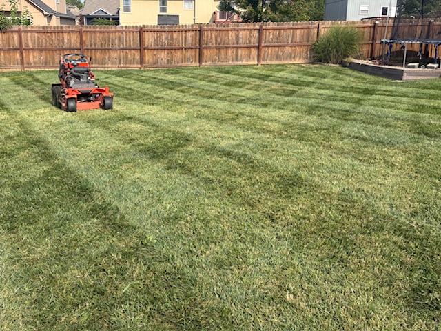 Lawn mower cutting grass along a residential fence line in Blue Springs, MO.