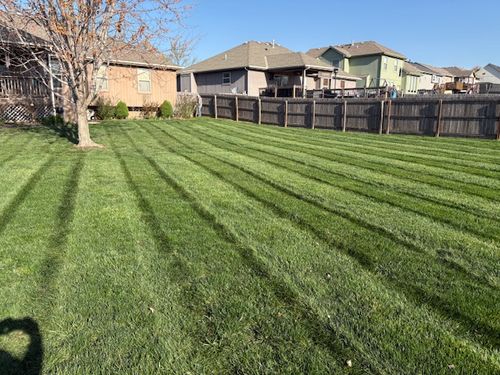 Freshly mowed backyard with clean mowing stripes and wood privacy fence, fertilized and maintained by Marrs Lawn and Landscape in Grain Valley, MO.