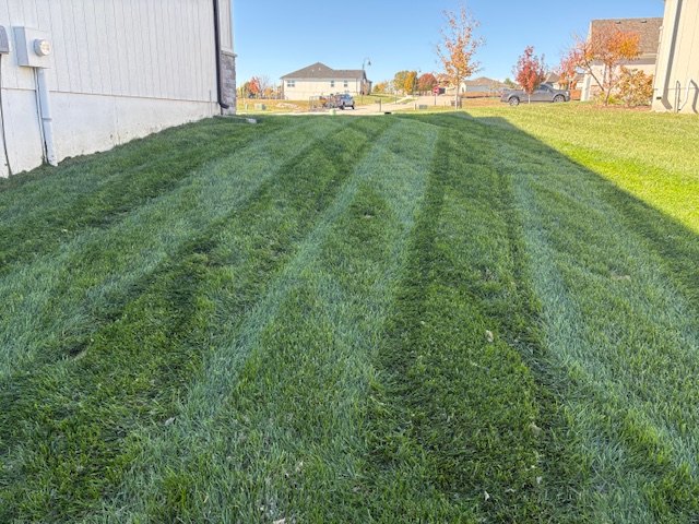 Freshly mowed lawn with clean mowing stripes on a residential property in Grain Valley, Missouri.