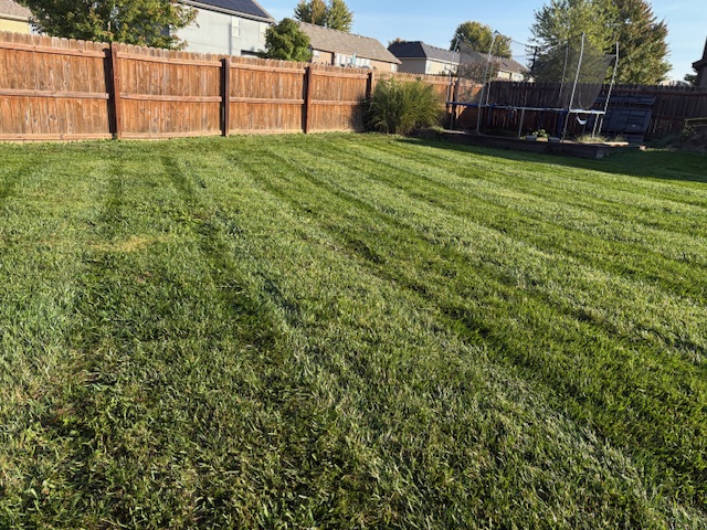 Freshly mowed backyard with clean stripes, wood fence, and neighboring homes, treated for weeds by Marrs Lawn and Landscape in Grain Valley, MO.