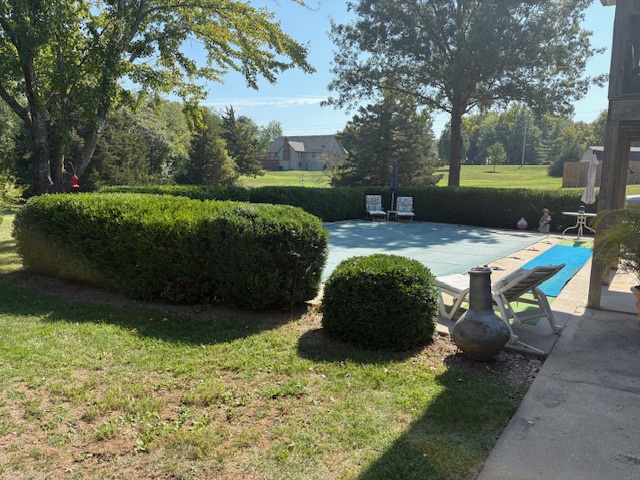 Neatly trimmed boxwood shrubs and shaped hedges alongside a residential pool in Grain Valley, MO by Marrs Lawn and Landscape