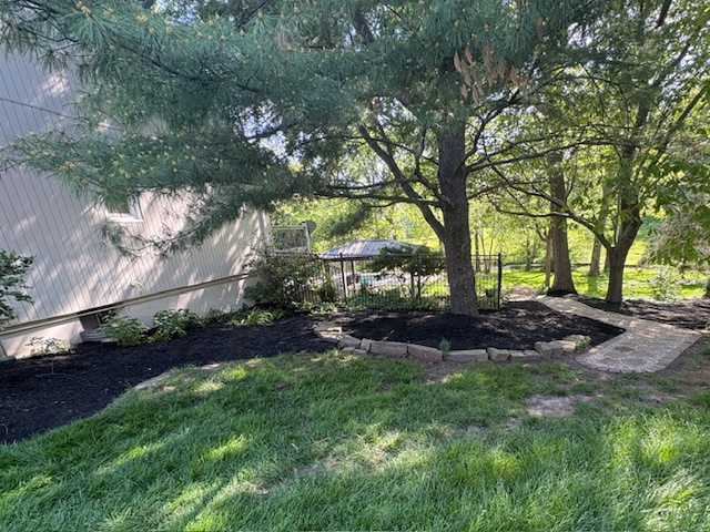 Freshly mulched landscape bed around large evergreen trees serviced by Marrs Lawn and Landscape.