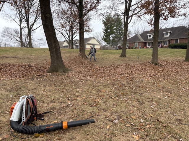Commercial leaf blower clearing fallen leaves from a residential lawn in Grain Valley, MO by Marrs Lawn and Landscape