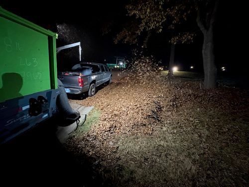 Thick layer of fallen leaves covering a lawn in Grain Valley, MO showing damage risk before professional leaf removal