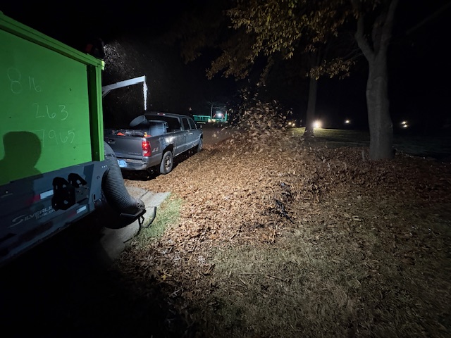 Thick layer of fallen leaves covering a lawn in Grain Valley, MO showing damage risk before professional leaf removal