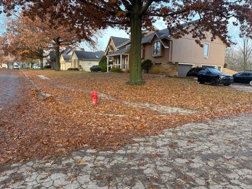 Residential neighborhood street covered in fall leaves in Grain Valley, MO before leaf removal by Marrs Lawn and Landscape