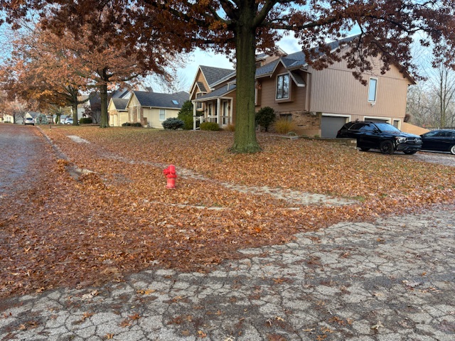 Residential neighborhood street covered in fall leaves in Grain Valley, MO before leaf removal by Marrs Lawn and Landscape