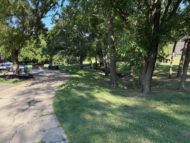 Cleanly mowed lawn with edged sidewalk and tree-lined parkway maintained by Marrs Lawn and Landscape.