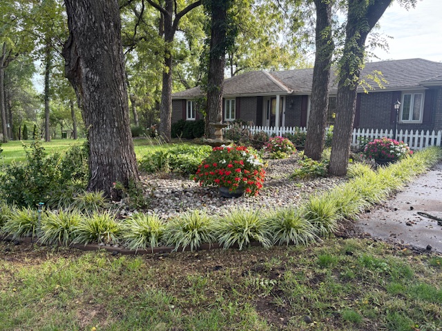 Residential home with mature trees, red flowering plants, ornamental grasses, and mulched landscape bed serviced by Marrs Lawn and Landscape in Grain Valley, MO