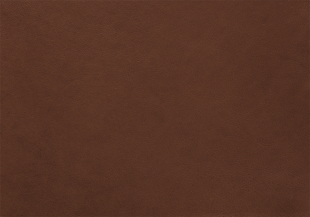Cocoafern
