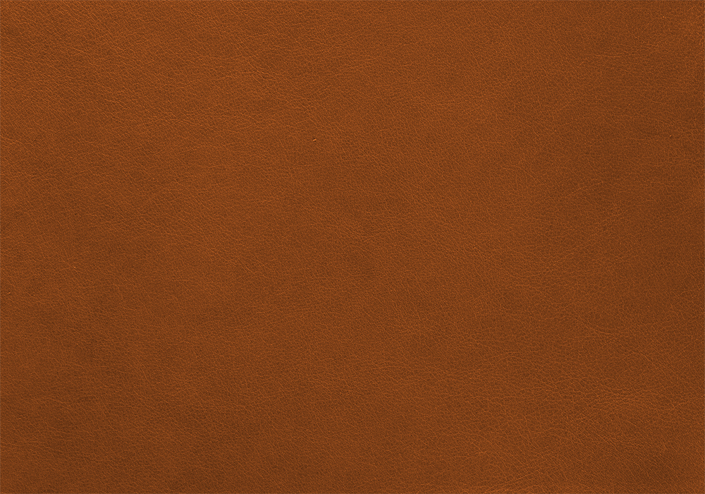 Rosebark