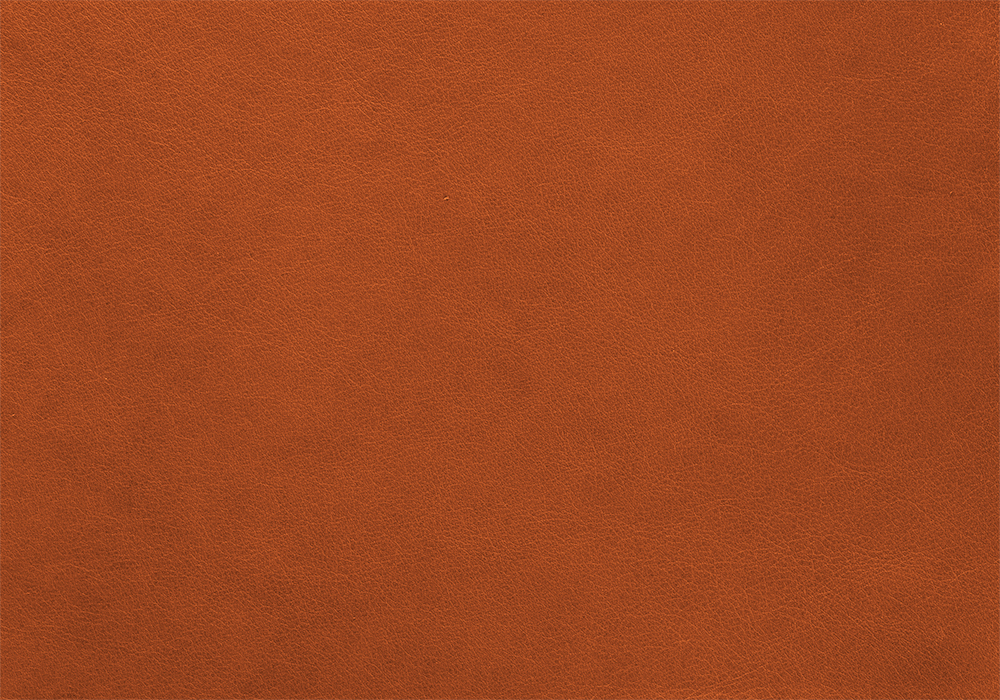 Copperleaf
