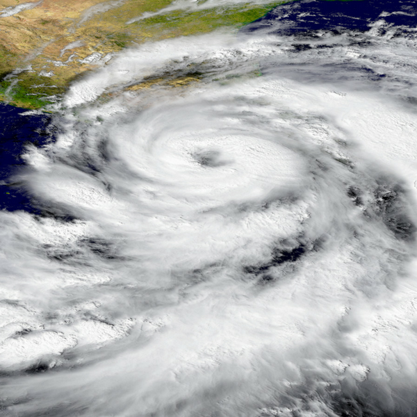 Impact Resistant Windows