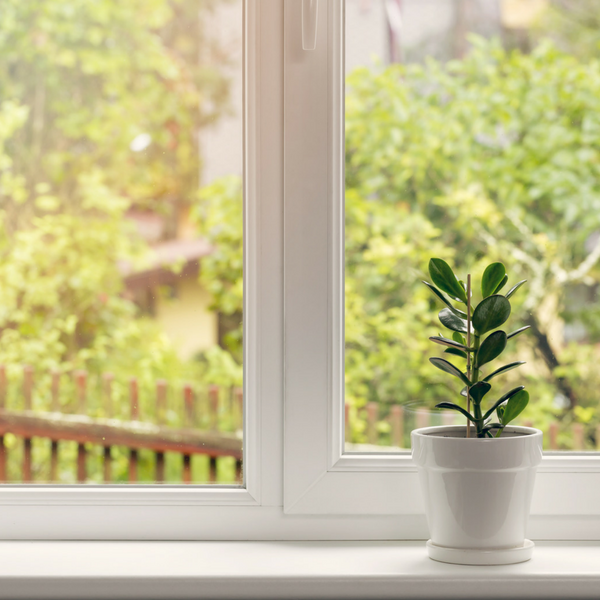 The Benefits of Natural Light