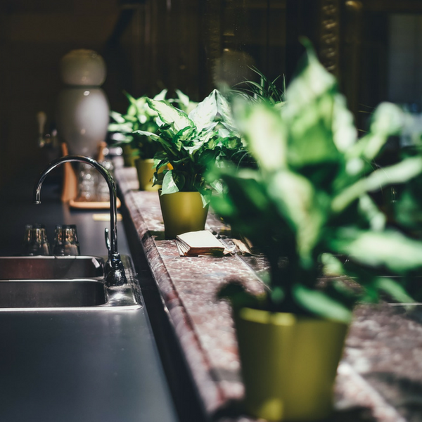 How to Keep Your House Cool During Miami Summer - House Plants