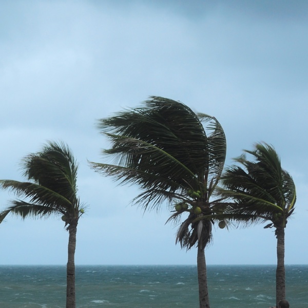 hurricane windows miami