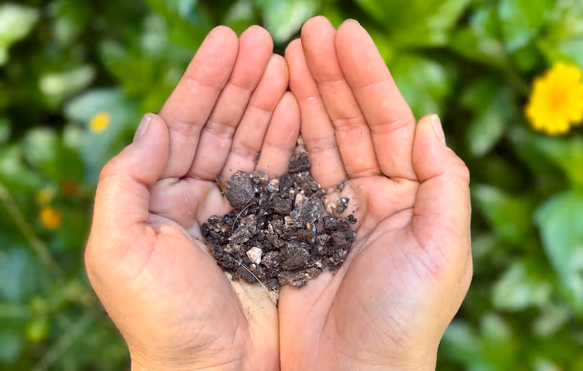 Hands holding the dehydrated solids after they have been broken up into a soil additive.