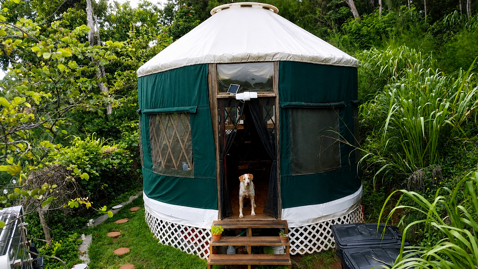 A round green and white yurt with lattice windows in a lush garden, with a dog standing at the entrance steps surrounded by leafy plants.