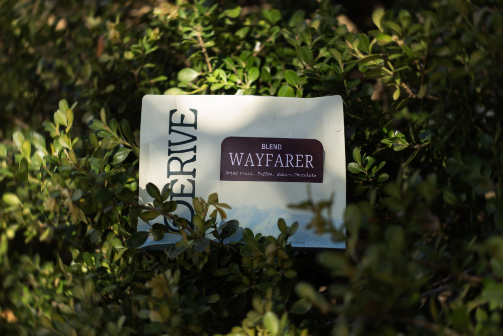 Pack of Derive Wayfarer coffee blend resting among green foliage.
