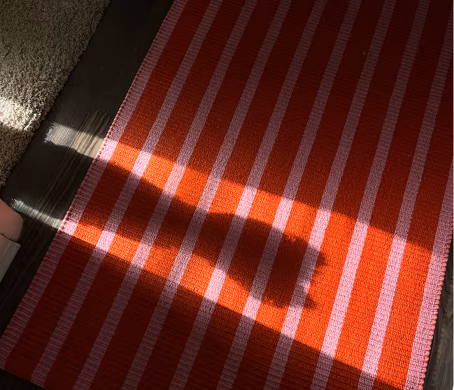 Red and pink striped rug on wooden floor with sunlight casting shadow of a small dog.