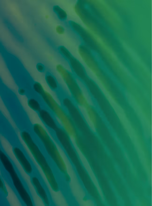 Abstract close-up of green and blue textured patterns resembling organic or natural forms.