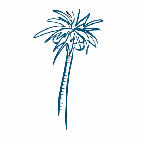 Simple hand-drawn sketch of a palm tree with long fronds extending from the top of a tall trunk.